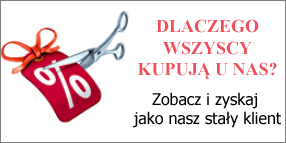 dlaczego wszyscy kupują prostownice u nas?