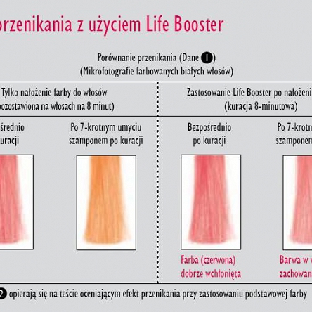 Sauna ozonowa Life Booster Fox, ultradźwiękowa do włosów Sauny do włosów z ozonem Fox 5904993463000