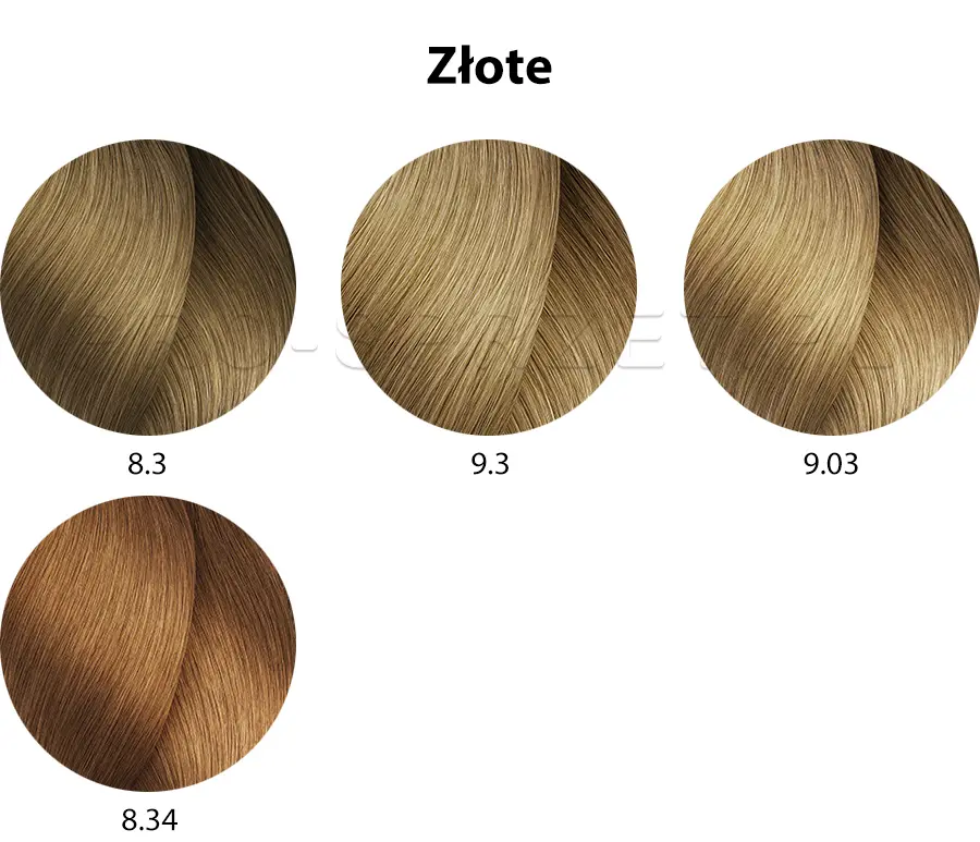 Loreal Dia Light paleta kolorów, kolekcja złote, złociste
