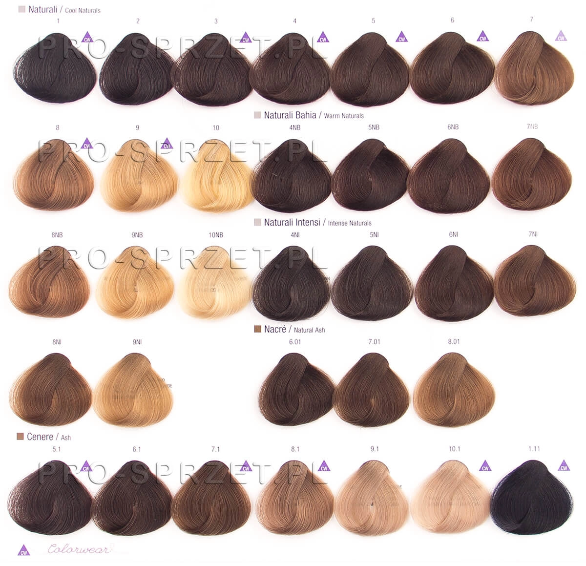 paleta-alfaparf-evolution-naturali 