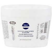 Maska Lisap Escalation Di Color do włosów farbowanych 300ml Escalation - Profesjonalne kosmetyki do pielęgnacji Lisap 1800150000016
