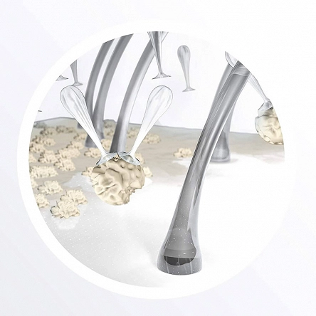Szampon Nioxin System 4 do włosów farbowanych, oczyszczający 1000ml Szampony do włosów Nioxin 4064666044446