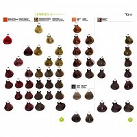 Paleta kolorów Tahe LUMIERE EXPRESS Palety kolorów farb Tahe