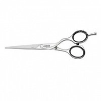 Nożyczki Jaguar Grace Silver Line 5.5 (65155)  Nożyczki fryzjerskie Jaguar 4030363118704