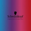 Szampon koloryzujący Schwarzkopf Bold Color Wash Blue, niebieski Szampony do włosów Schwarzkopf 4045787430493
