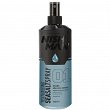 Spray Nishman Sea Salt Texturizing do stylizacji włosów dla mężczyzn 200ml NishMan 8682035084815
