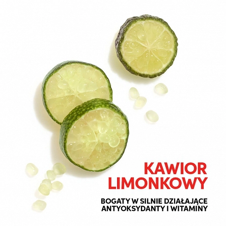 Szampon Wella Invigo Color Brilliance Fine do włosów farbowanych, cienkich i normalnych 500ml Szampony do włosów Wella 4064666339207