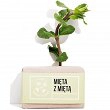 Mydło 4 Szpaki naturalne mięta z miętą do ciała 110g Kosmetyki do ciała 4 Szpaki 5906660352129