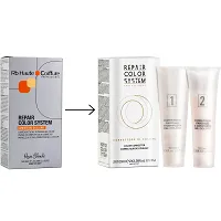 Dekoloryzator Renee Blanche Repair Color System 2x100ml Koloryzacja włosów Renee Blanche 8006569161260