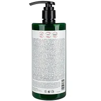 Szampon Tahe Nature Dry do włosów suchych bez siarczanów 750ml Tahe 8426827723755