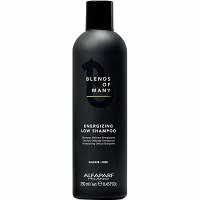 Szampon Alfaparf Blends Of Many energetyzujący, wzmacniający do włosów męskich 250ml
