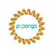 Gumka Papanga S, do włosów mała, kolor złoty Gumki do włosów Papanga 4260360972461