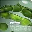Odżywka Biolage Color Last do włosów farbowanych 400ml Odżywki do włosów farbowanych Matrix 3474637267995