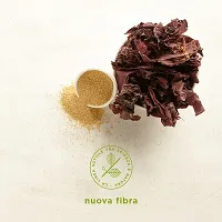 Serum Kemon Actyva Nouva Fibra regeneracyjne do włosów zniszczonych i osłabionych 12x30ml Serum do włosów Kemon 8020936060987