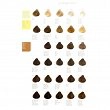 Paleta Revlon RevlonIssimo Colorsmetique Palety kolorów farb Revlon Professional 8432225092522