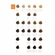 Paleta Revlon RevlonIssimo Colorsmetique Palety kolorów farb Revlon Professional 8432225092522