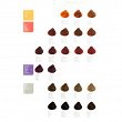 Paleta Revlon RevlonIssimo Colorsmetique Palety kolorów farb Revlon Professional 8432225092522