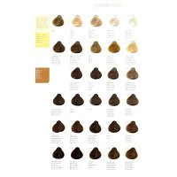 Paleta Revlon RevlonIssimo Colorsmetique Palety kolorów farb Revlon Professional 8432225092522