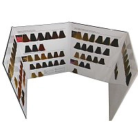 Paleta kolorów Inoa ODS2 Loreal Palety kolorów farb L'Oreal Professionnel 3474636838899