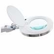 Lampa lupa Activ ELEGANTE 6025 ze statywem Lampy i lupy Activ 5906717428357