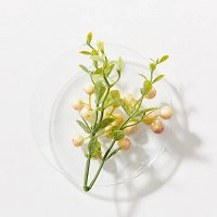 Szampon Schwarzkopf BLONDME All Blondes Light wzmacniający do włosów blond 1000ml Szampony do włosów Schwarzkopf 4045787641110