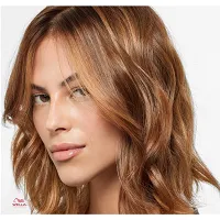 Farba do włosów Wella Color Touch Plus 60ml Wella Wella 4015600028053
