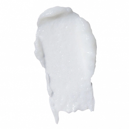 Maska Biolage Recovery Deep Treatment wzmacniająca do włosów rozjaśnianych i koloryzowanych 100ml Maski do włosów Matrix 30160620