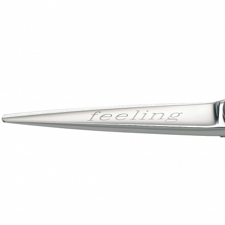 Nożyczki fryzjerskie Kiepe Master Series Feeling 5,5 Kiepe 8008981258559