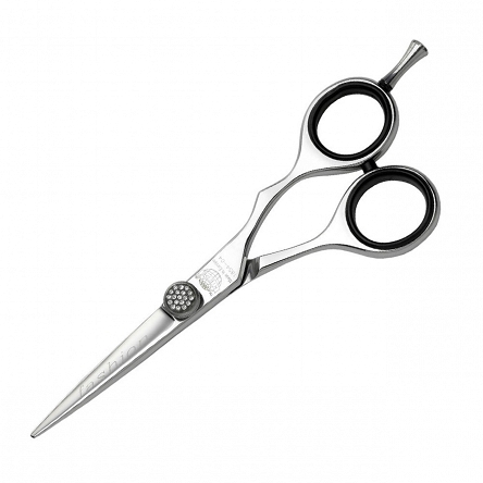 Nożyczki fryzjerskie Kiepe Master Series Feeling 5,5 Kiepe 8008981258559