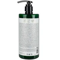 Szampon Tahe Nature Coloured do włosów farbowanych bez siarczanów 750ml Tahe 8426827723762