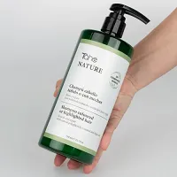 Szampon Tahe Nature Coloured do włosów farbowanych bez siarczanów 750ml Tahe 8426827723762