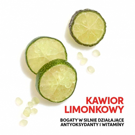 Odżywka Wella Invigo Color Brilliance chroniąca kolor włosów farbowanych, cienkich i normalnych 1000ml Odżywki do włosów farbowanych Wella 4064666339306