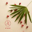 Lotion Kemon Actyva P Vactor Intensive przeciw wypadaniu włosów dla mężczyzn 12x6ml Odżywki do włosów Kemon 8020936059349