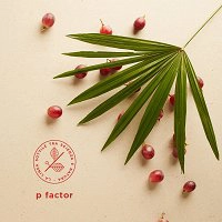 Lotion Kemon Actyva P Vactor Intensive przeciw wypadaniu włosów dla mężczyzn 12x6ml Odżywki do włosów Kemon 8020936059349