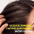 Szampon oczyszczający Wella Invigo Scalp Balance Oily do włosów przetłuszczających się 300ml Wella 4064666585246