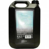 Szampon Diapason Daily do codziennej pielęgnacji włosów 5000ml Szampony do włosów Diapason 8053830981478