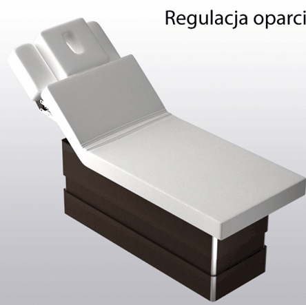 Leżanka Panda SPA sterowana elektrycznie Łóżka do masażu Panda  