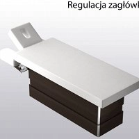Leżanka Panda SPA sterowana elektrycznie Łóżka do masażu Panda
