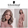 Farba Schwarzkopf Professional Igora Royal 60ml Farby do włosów Schwarzkopf 4045787198874