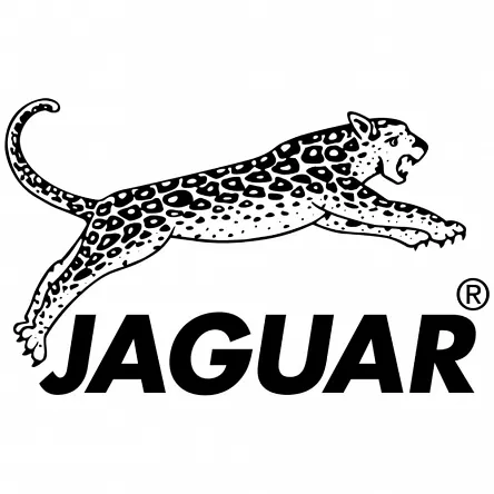 Nożyczki Jaguar Pre Style Ergo 5.0 (82250), 5.5 (82255) i 6.0 (82260) Nożyczki fryzjerskie Jaguar 4030363101577