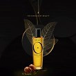 Olejek Orofluido Elixir rozświetlający włosy 30ml Serum wygładzające Revlon Professional 9667